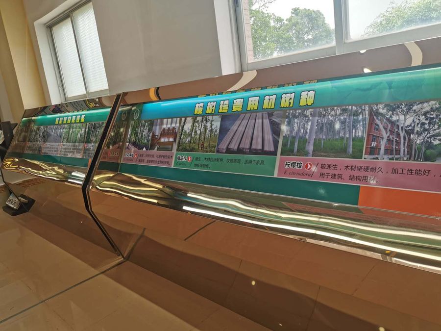 桉樹(shù)科普館1.jpg