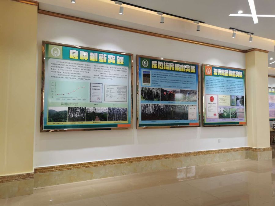 桉樹(shù)科普館2.jpg