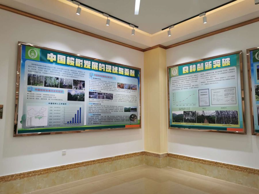 桉樹(shù)科普館3.jpg