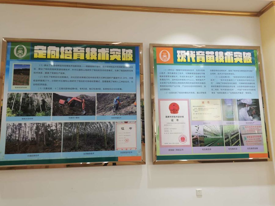 桉樹(shù)科普館4.jpg