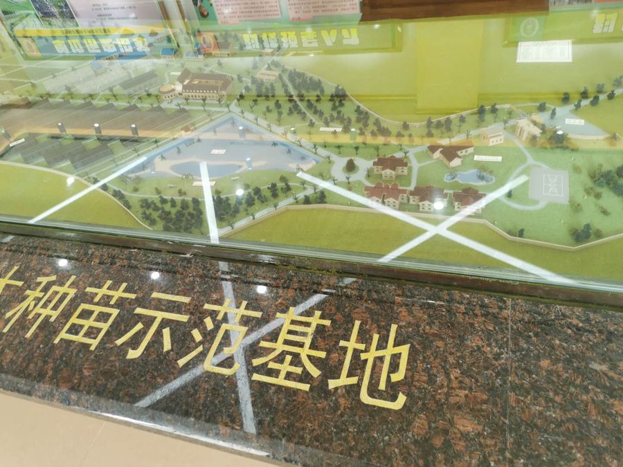 桉樹(shù)科普館6.jpg