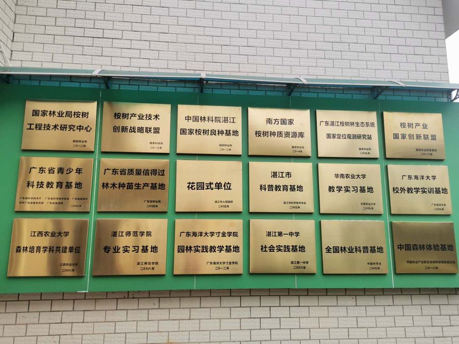 桉樹(shù)科普館8.jpg