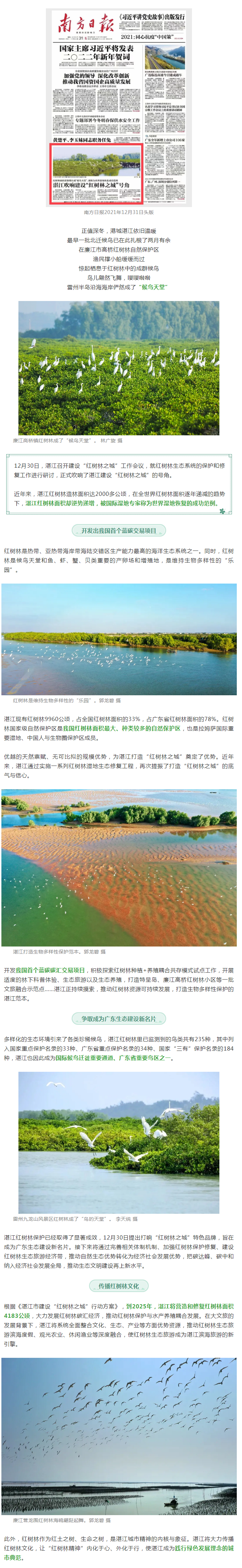 世界濕地恢復(fù)成功范例&hellip;&hellip;南方日?qǐng)?bào)頭版重磅聚焦湛江！.png