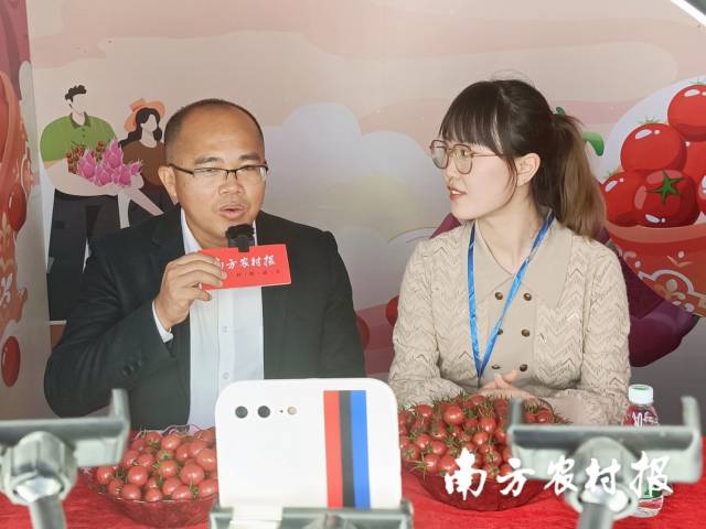 遂溪縣界炮鎮(zhèn)黨委副書記、鎮(zhèn)長(zhǎng)岑志東在遂溪千禧果直播秀中介紹遂溪千禧果  南方農(nóng)村報(bào) 林健民 拍攝