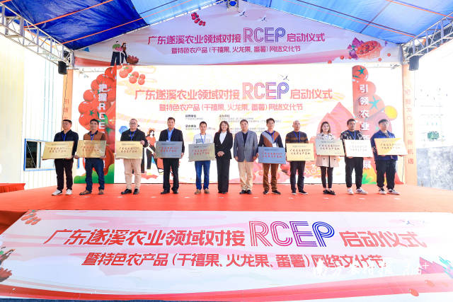 10個(gè)千禧果、番薯、火龍果、香蕉種植基地被授予“RECP生產(chǎn)基地”  南方農(nóng)村報(bào) 吳秒衡 拍攝
