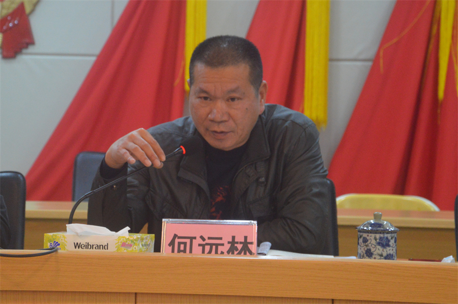 （鎮(zhèn)黨委委員何遠林同志部署鄉(xiāng)村振興戰(zhàn)略實績考核工作）.JPG