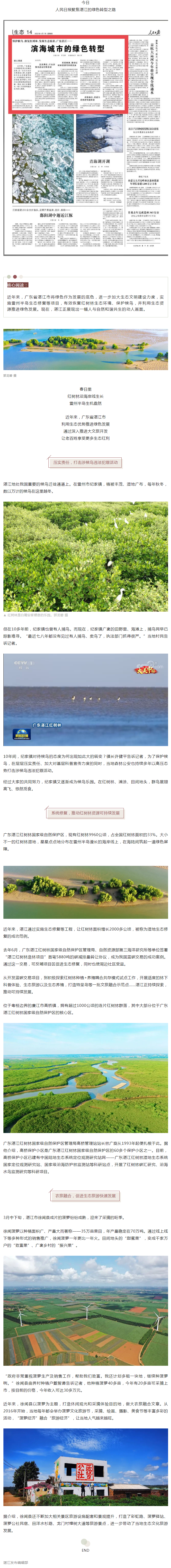 人民日?qǐng)?bào)頭條聚焦湛江：濱海城市的綠色轉(zhuǎn)型！.png