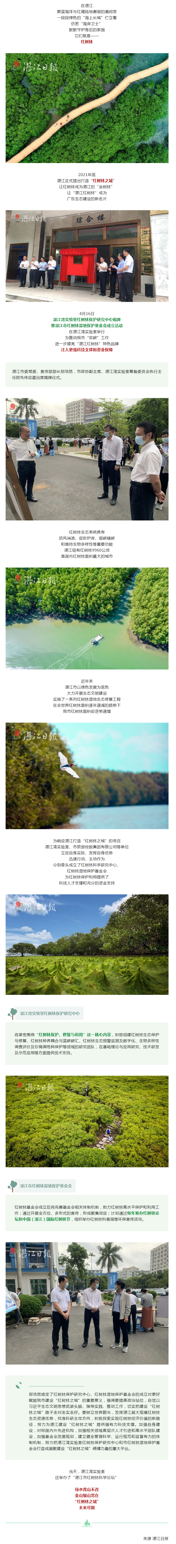 湛江紅樹林之城，插上騰飛的雙翼！.png