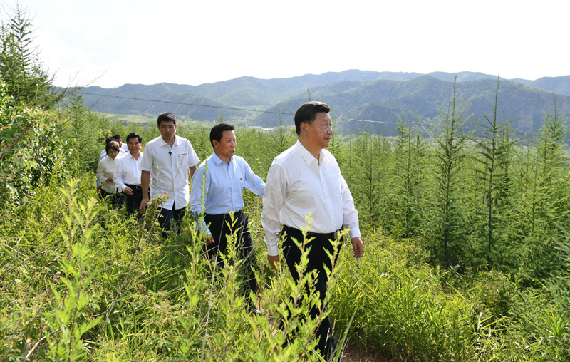 7月15日至16日，中共中央總書記、國家主席、中央軍委主席習(xí)近平在內(nèi)蒙古考察并指導(dǎo)開展“不忘初心、牢記使命”主題教育。這是15日下午，習(xí)近平在赤峰市喀喇沁旗馬鞍山林場林區(qū)，沿著崎嶇的護林小道察看林木長勢。