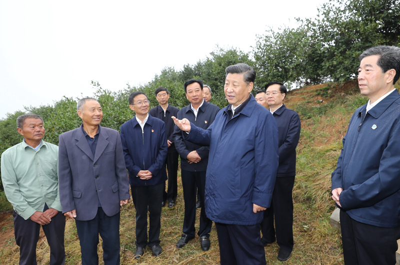 　　9月16日至18日，中共中央總書記、國家主席、中央軍委主席習(xí)近平在河南考察。這是17日上午，習(xí)近平來到信陽市光山縣槐店鄉(xiāng)司馬光油茶園，同正在勞作的村民和管理人員交流。 新華社記者 鞠鵬 攝