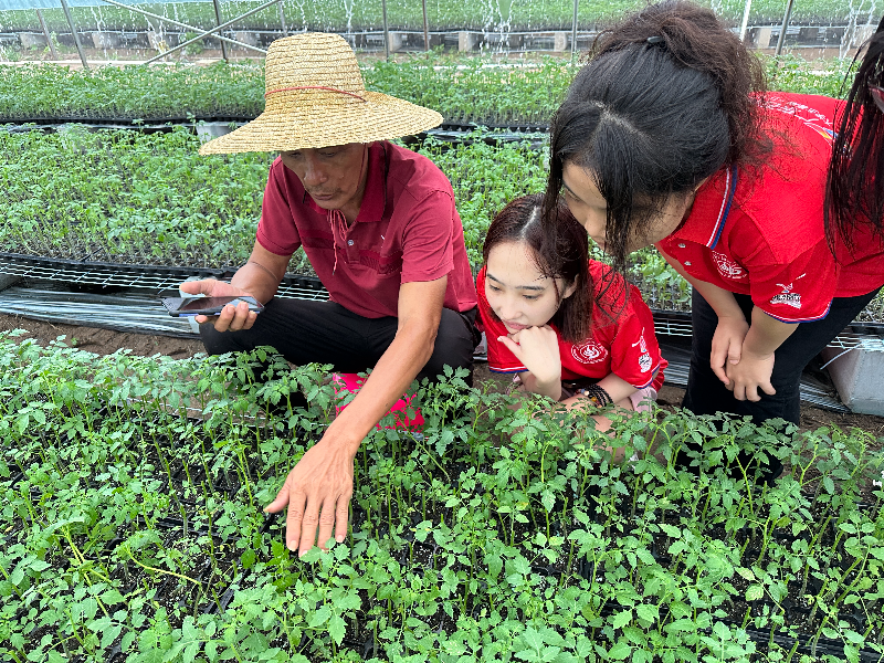 廣東石油化工學院新農果蔬筑夢隊走訪界炮鎮(zhèn)圣女果種植基地.jpg