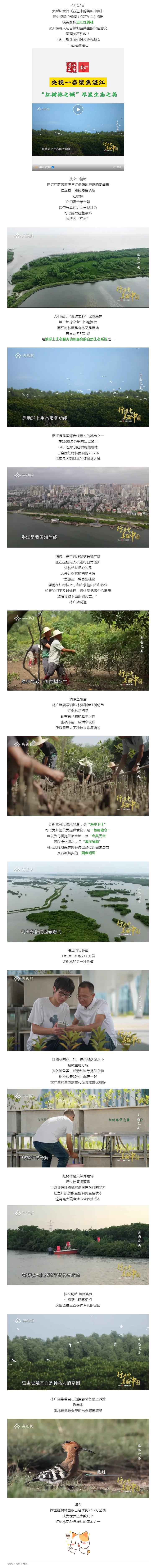超8分鐘！CCTV-1重磅聚焦湛江“固碳明星”....._.png