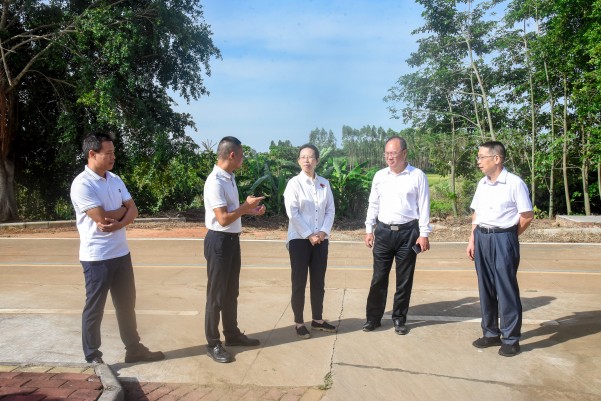 湛江市人大常委會黨組副書記、副主任陳云率隊到遂溪縣建新鎮(zhèn)車路頭村開展典型村創(chuàng)建調(diào)研工作