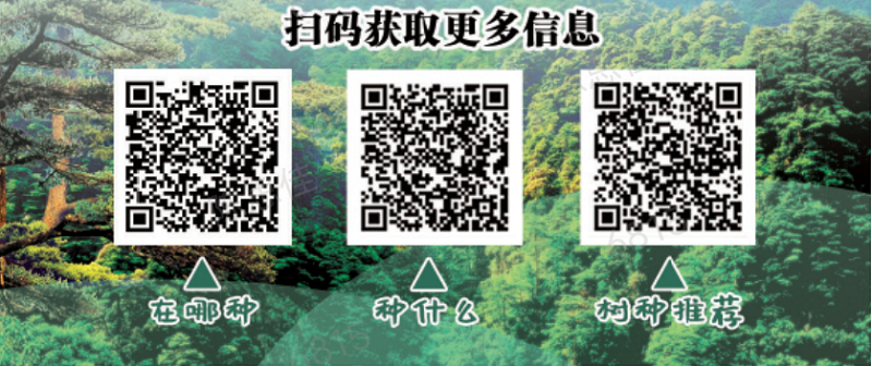圖片1.png