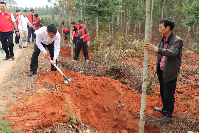 樂民鎮(zhèn)黨委開展綠美公路義務(wù)植樹活動(dòng)