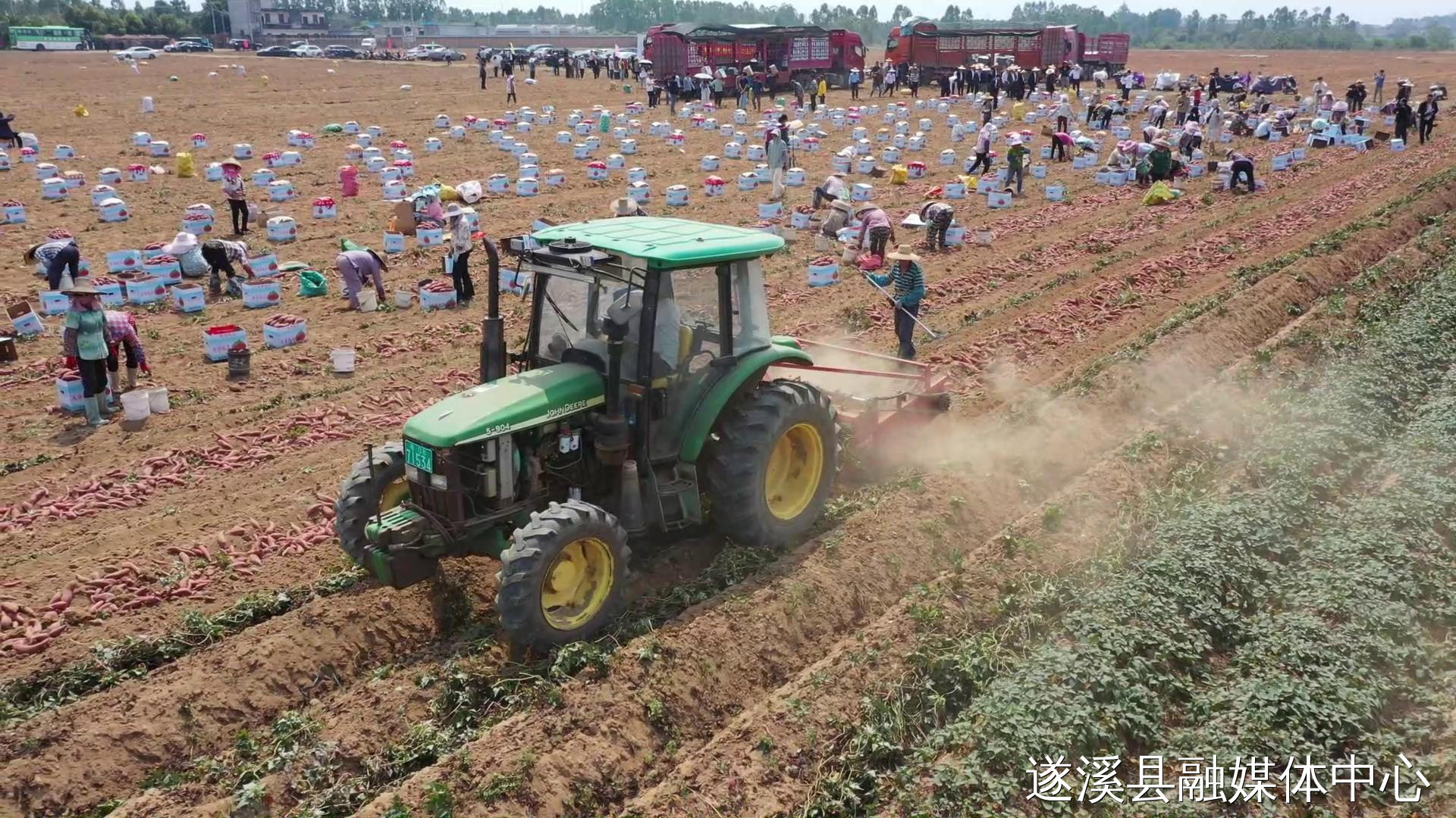 文章配圖