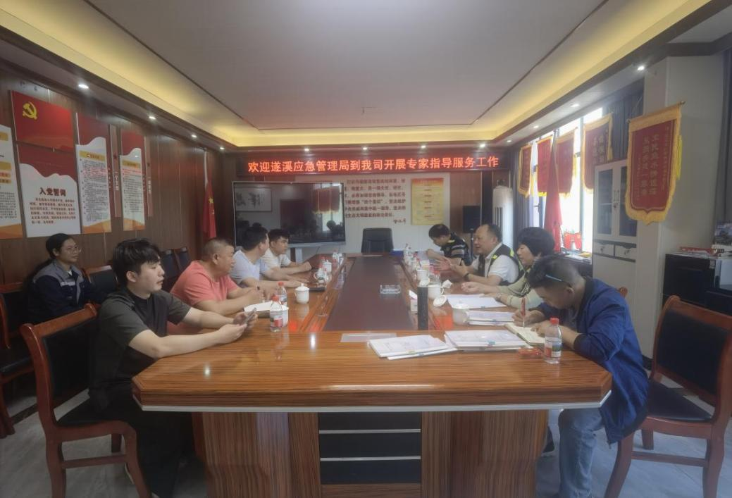遂溪縣應(yīng)急管理局到非煤礦山企業(yè)開展專家指導服務(wù)工作1.png