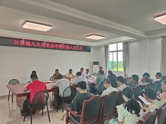 江洪鎮(zhèn)人大：向鎮(zhèn)黨委匯報(bào)人大工作